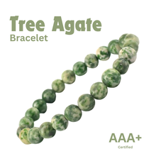 Load image into Gallery viewer, Tree Agate Bracelet - Helps in Grounding, Healing, and Inner Strength - Suitable for Unisex
